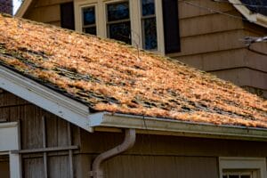 spring roof problems, spring roof maintenance, spring roof care, Bel Air