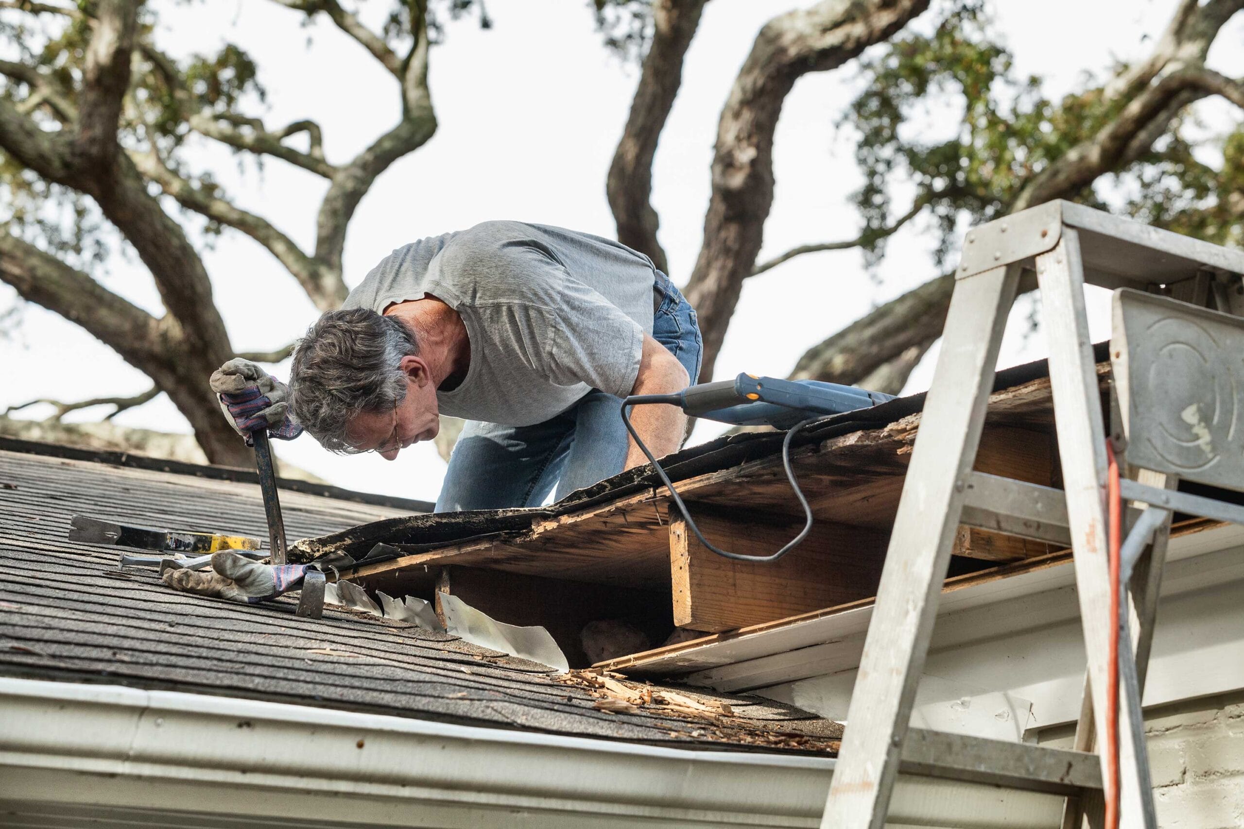 spring roof problems, spring roof maintenance, spring roof care